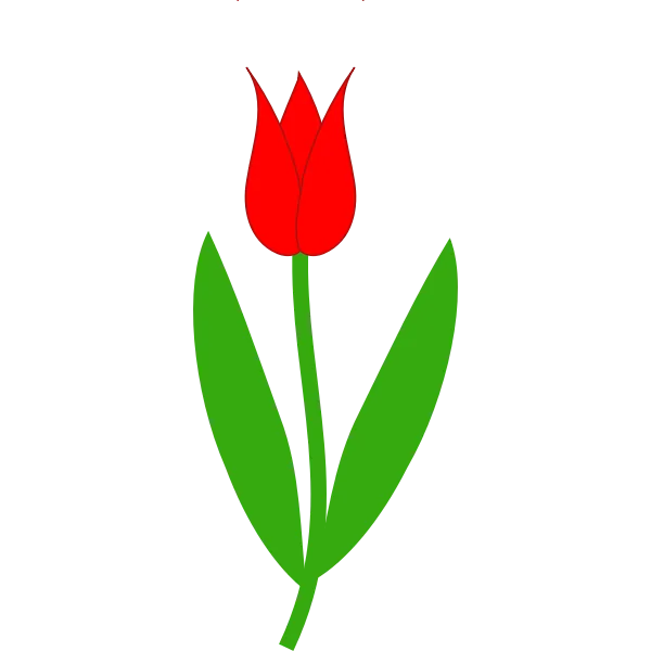Parkinson's Project 3 red tulip.png